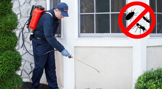 Çayıralan Gümüşkurt İlaçlama böcek ilaçlama ve haşere kontrolü — ilaclama-tr.com